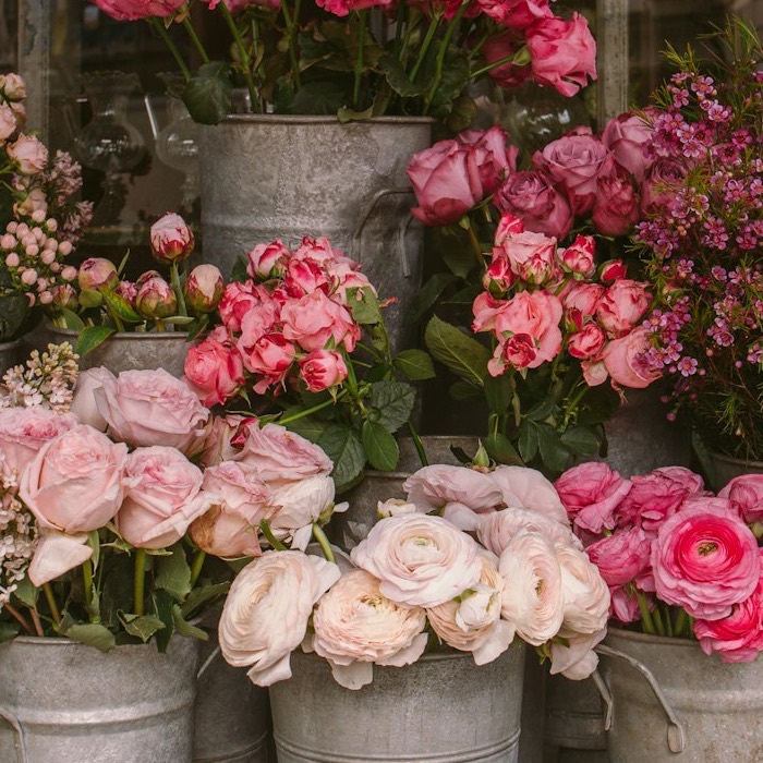 Rosas rosas y ranúnculos blancos en cubos de zinc